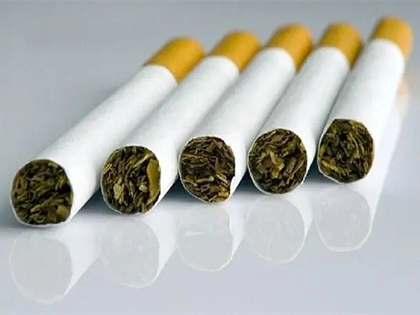 煙草廢氣處理